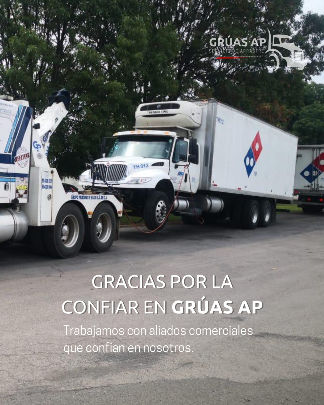 GRUAS AP POST IG (8)